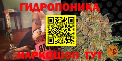 спайс Будённовск