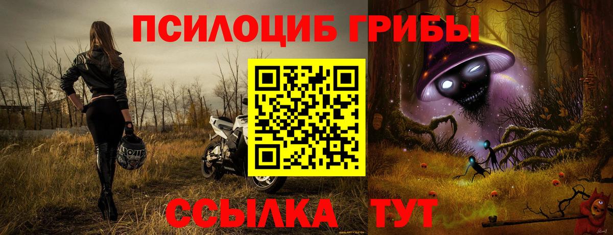 Галлюциногенные грибы MAGIC MUSHROOMS Дятьково