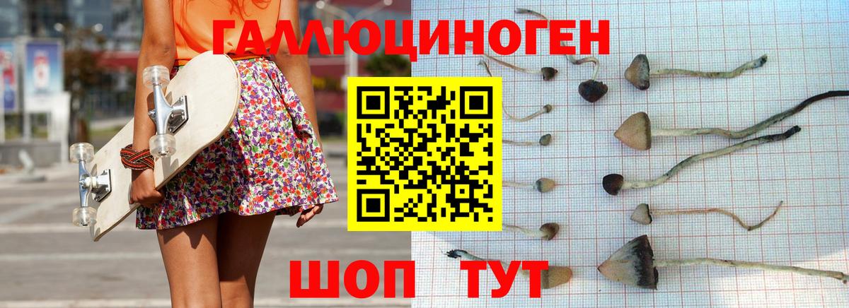 Дятьково  Псилоцибиновые грибы GOLDEN TEACHER  Вход с VPN 